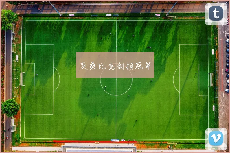 莫桑比克剑指冠军