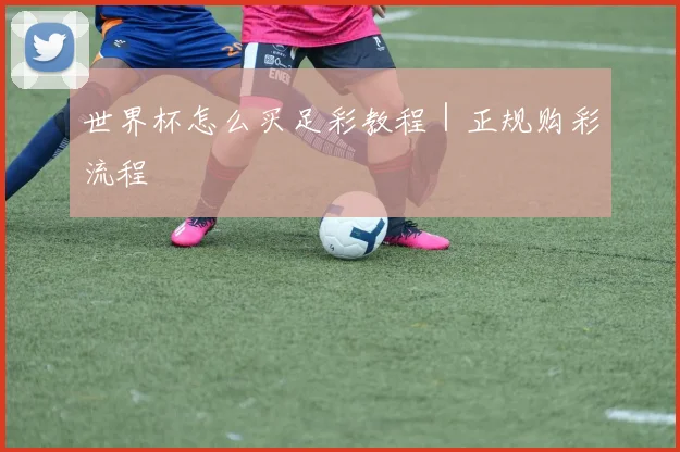 世界杯怎么买足彩教程｜正规购彩流程