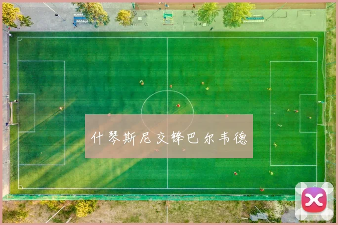 什琴斯尼交锋巴尔韦德