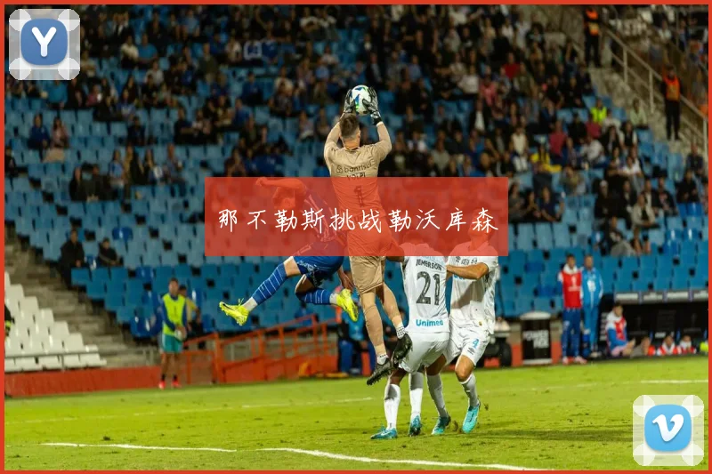 那不勒斯挑战勒沃库森
