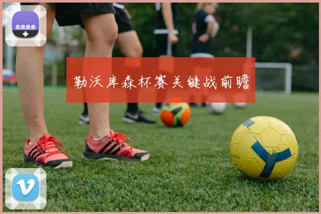 勒沃库森杯赛关键战前瞻