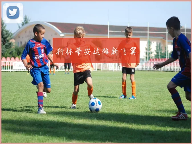 科林蒂安边路新飞翼