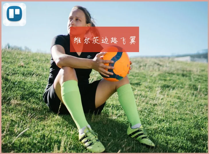 维尔茨边路飞翼