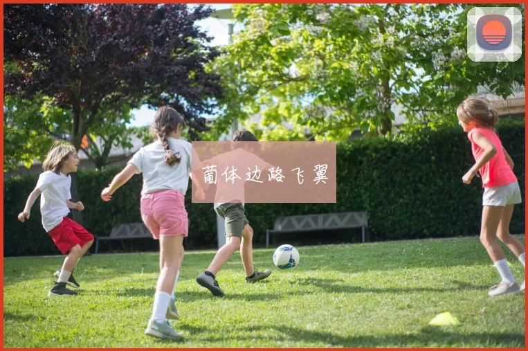 葡体边路飞翼