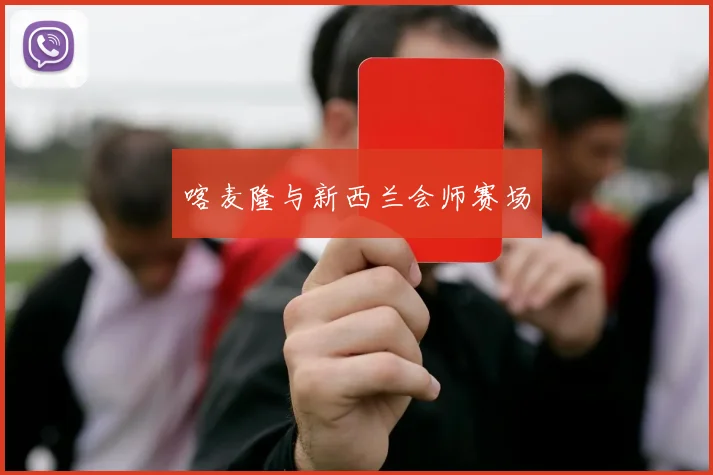 喀麦隆与新西兰会师赛场