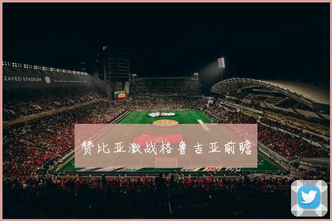 赞比亚激战格鲁吉亚前瞻