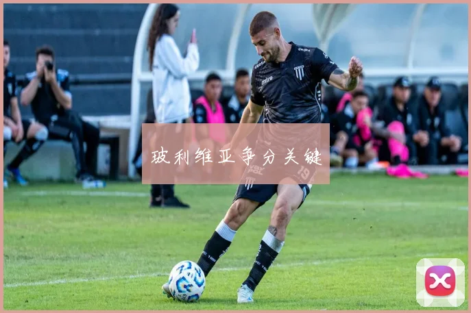 玻利维亚争分关键