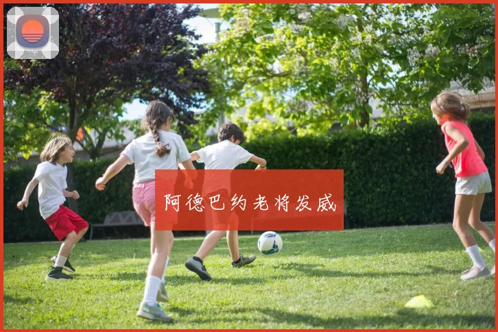 阿德巴约老将发威