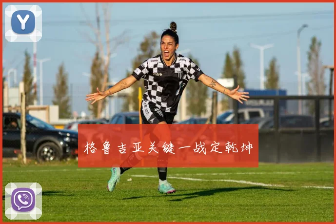 格鲁吉亚关键一战定乾坤