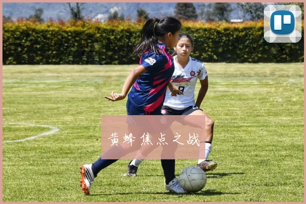 黄蜂焦点之战