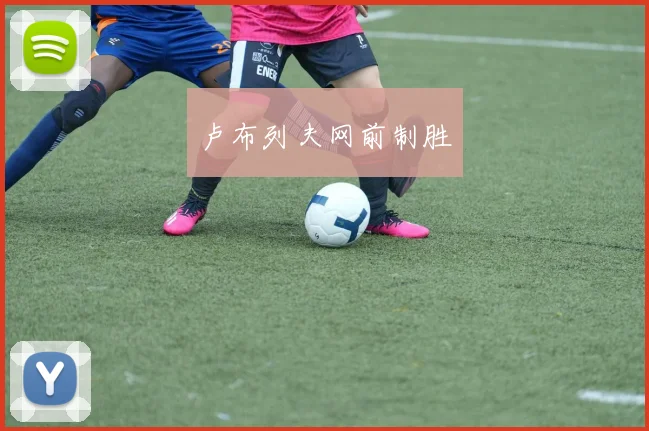 卢布列夫网前制胜