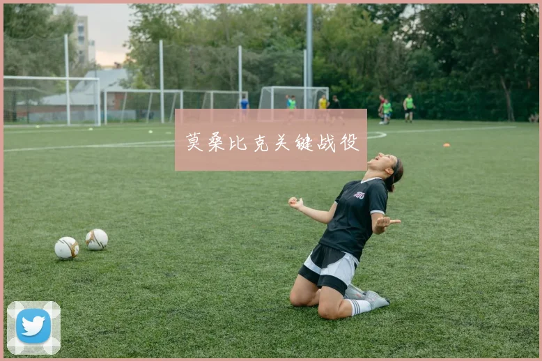 莫桑比克关键战役