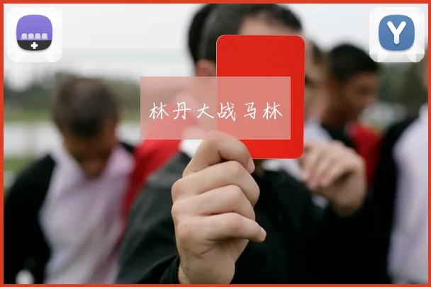 林丹大战马林