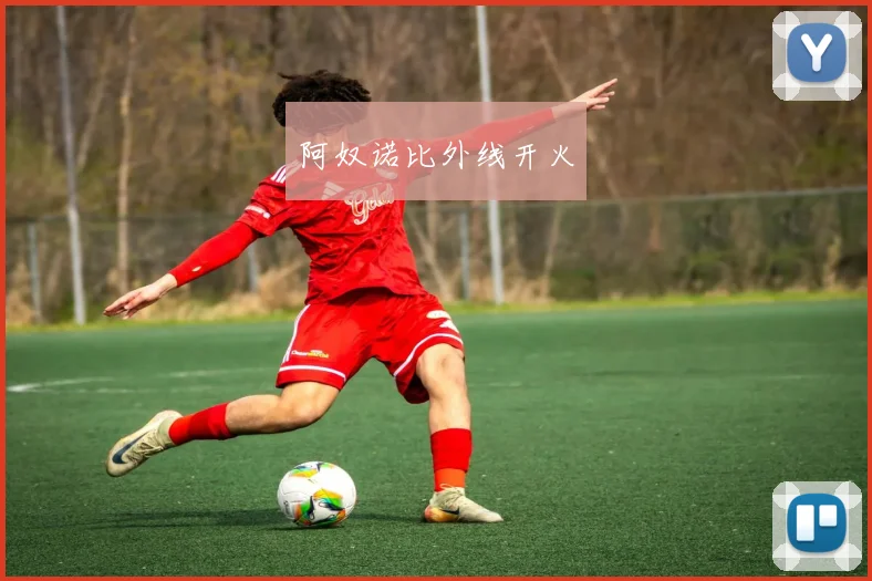 阿奴诺比外线开火