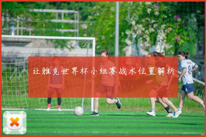 让雅克世界杯小组赛战术位置解析