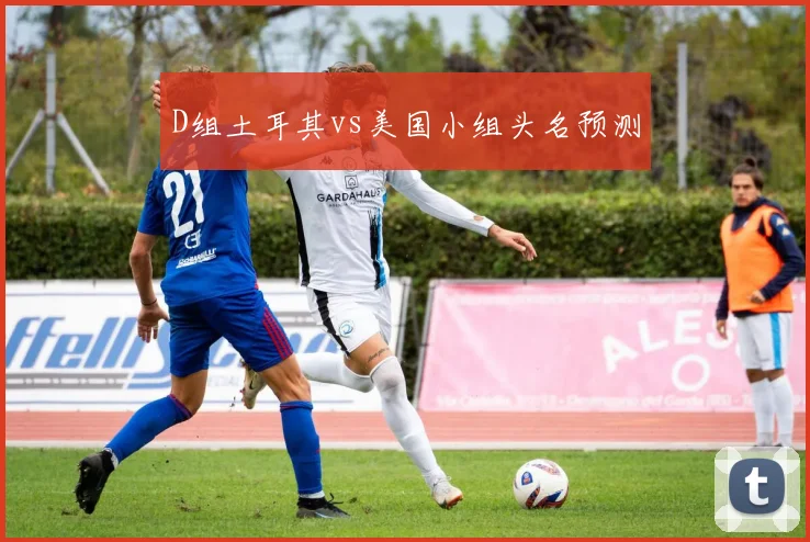 D组土耳其vs美国小组头名预测
