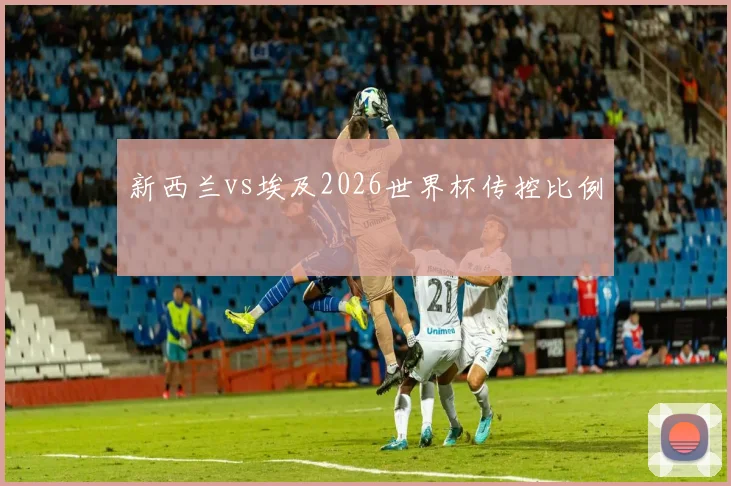 新西兰vs埃及2026世界杯传控比例