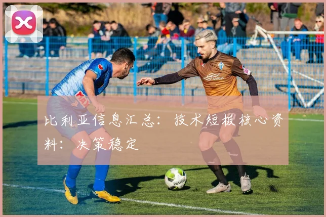 比利亚信息汇总:技术短板核心资料:决策稳定