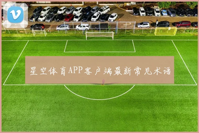 星空体育APP客户端最新常见术语