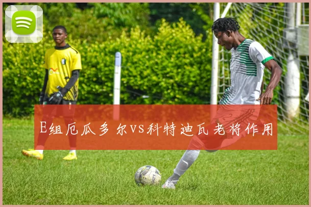 E组厄瓜多尔vs科特迪瓦老将作用